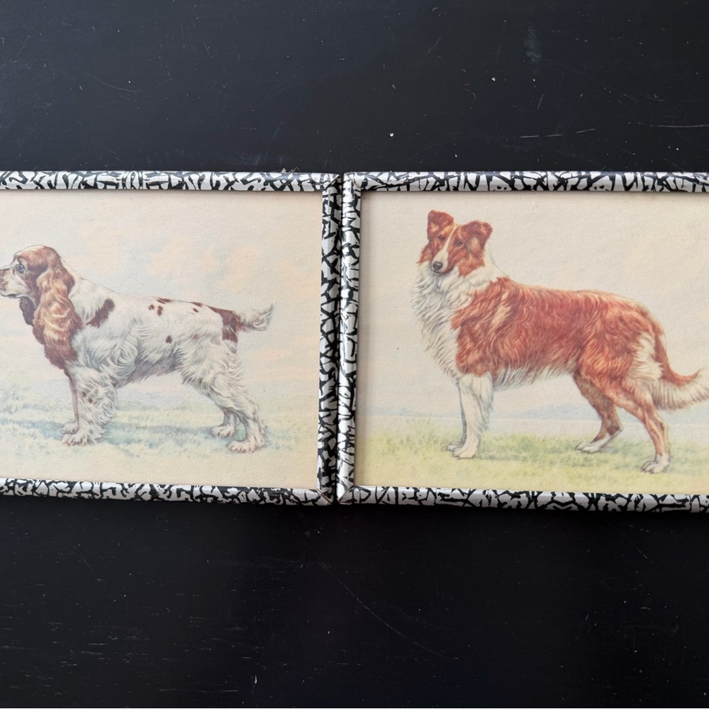 Vintage Small Dog Illustration Wall Art Pair - Collie & Cocker Spaniel - Picture 2 of 6